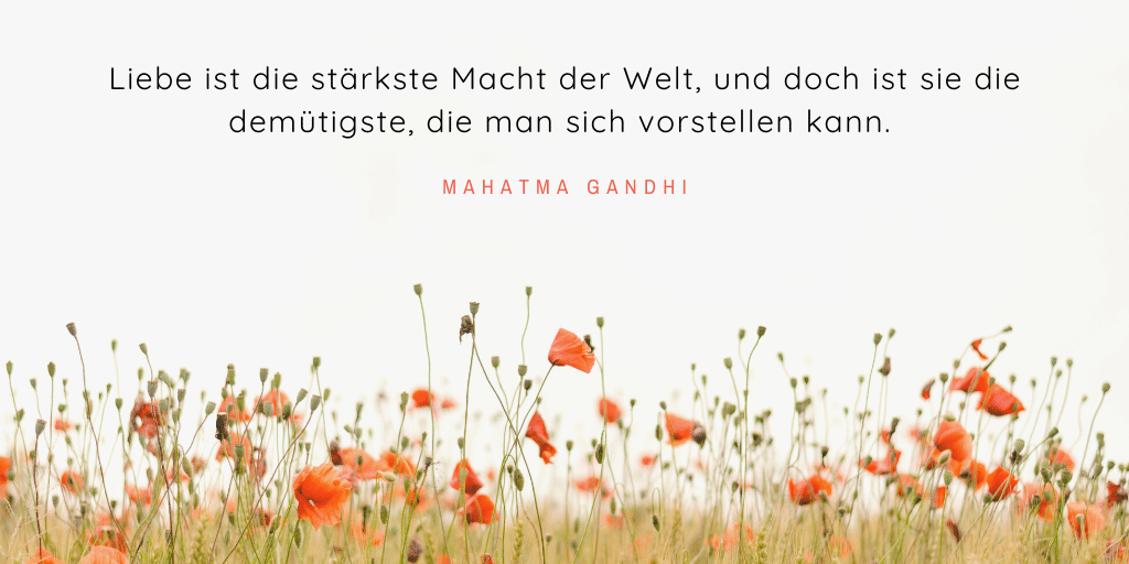 Hochzeitssprüche für das Gästebuch / Große Auswahl