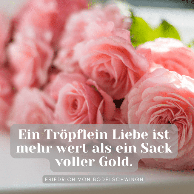 Sprüche für das Hochzeitsbuch Kreative Ideen